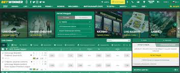 BetWinner Online Casino Your Ultimate Gaming Experience BetWinner Online Casino Your Ultimate Gaming Experience